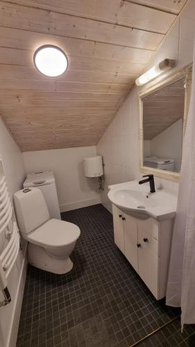 a bathroom with a toilet and a sink and a mirror at Tihase one bedroom garden view apartment in Tallinn