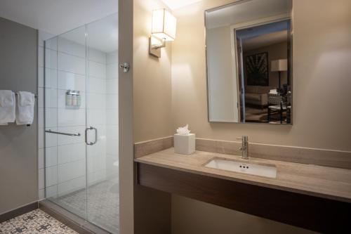 a bathroom with a sink and a shower with a mirror at Hotel Contessa - Suites on the Riverwalk in San Antonio