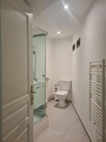 een badkamer met een toilet en een glazen douche bij Appartements T2 in Vourles