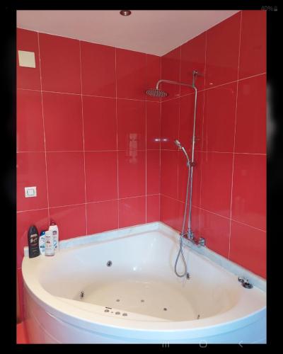 a red tiled bathroom with a bath tub with a shower at Apartamento Quinfon in Maceda