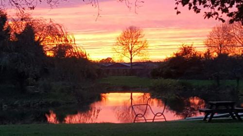 a bench sitting next to a pond at sunset at Ottenskamp4 en Het Achterhuis in Siebengewald