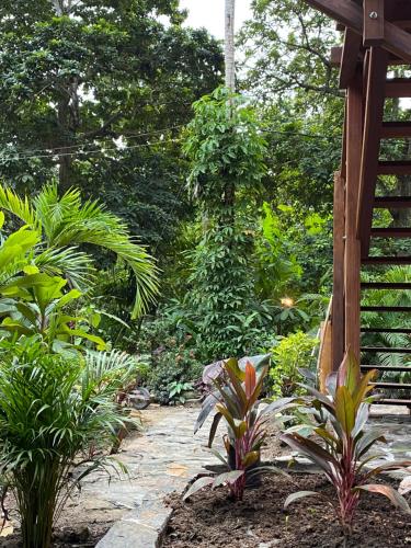 a garden with some plants and a pathway at Salvia Madre Hotel Boutique in Guachaca