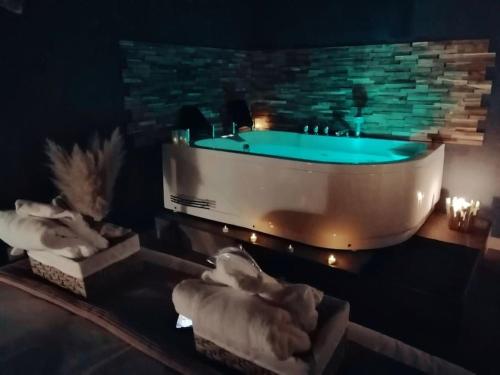 Gambar di galeri bagi Rose & Blue Spa proche Chalon S/Saône et Beaune di Saint-Martin-en-Bresse