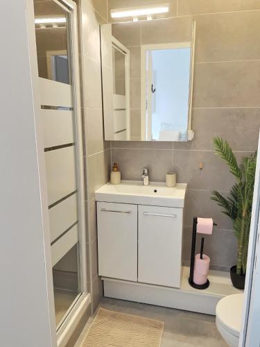 une salle de bain avec un lavabo blanc et un miroir dans l'établissement Studio Cosy Vanves Paris Porte de Versailles, à Vanves