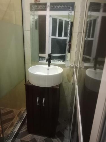 a bathroom with a sink and a mirror at Berkley House in Lagos