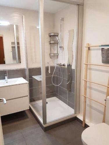 une salle de bain avec une douche, des toilettes et un lavabo dans l'établissement Studio à la plage, à Donville-les-Bains