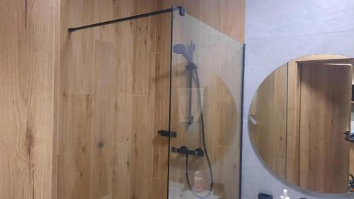 a shower in a bathroom with a mirror at Złoty Horyzont Apartament Spa Szklarska Poręba in Szklarska Poręba