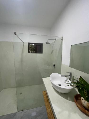 伊尼揚巴內的住宿－CosyBe Villas，一间带水槽和玻璃淋浴的浴室