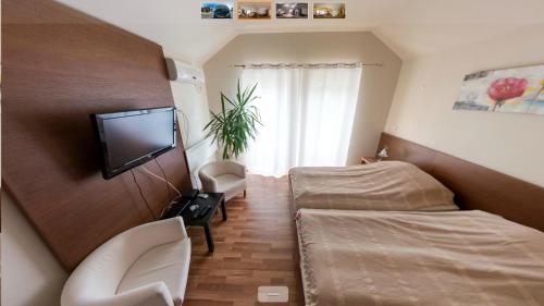 Μια τηλεόραση ή/και κέντρο ψυχαγωγίας στο Apartment Mašić
