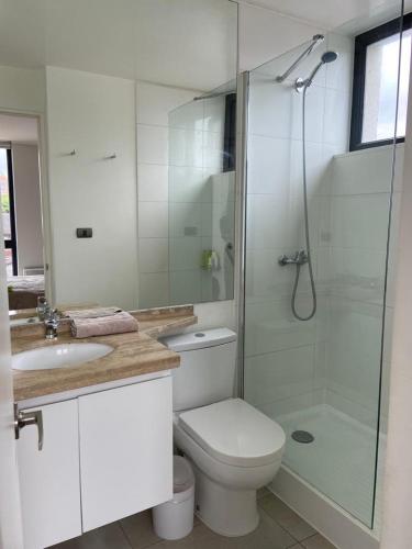a bathroom with a shower and a toilet and a sink at Departamento Río Valdivia in Valdivia