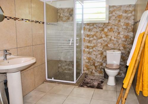 een badkamer met een douche, een toilet en een wastafel bij Coquillage des îles in Le Moule