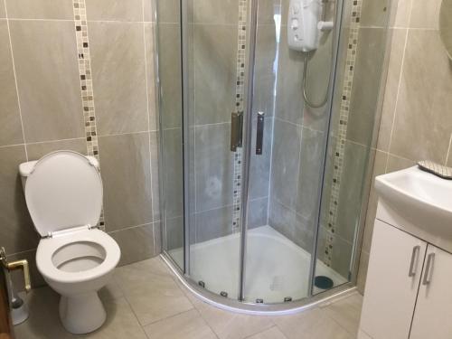 La salle de bains est pourvue d'une douche, de toilettes et d'un lavabo. dans l'établissement Cosy Cottage Broadford, à Broadford