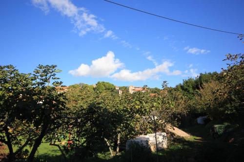 a view of a hill with trees and a blue sky at Apartments by the sea Kolocep, Elafiti - 2182 in Koločep