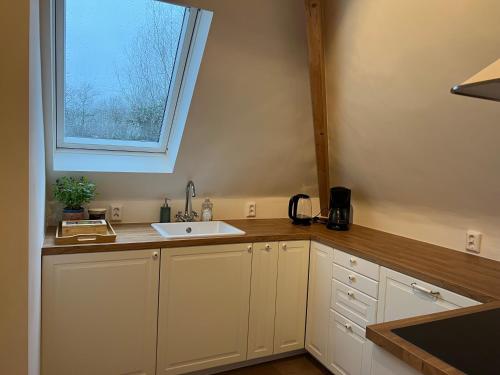 een keuken met een wastafel en een raam bij Inn Het Nest in Amsterdam
