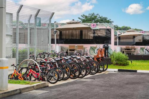 a row of bikes parked in a parking lot at The Bus Collective in Singapore