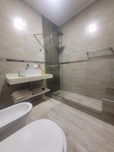 La salle de bains est pourvue d'une douche, de toilettes et d'un lavabo. dans l'établissement Casa hermosa,comoda, luminosa, à Presidencia Roque Sáenz Peña