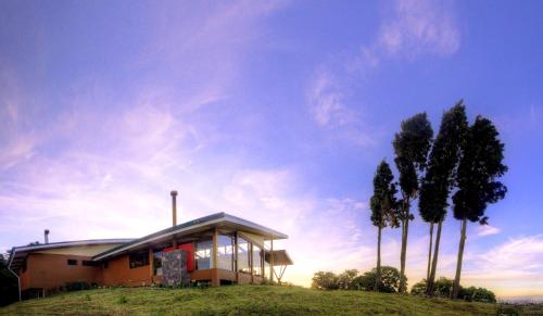 a house on a hill with palm trees at Chayote Lodge in Zarcero