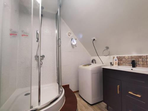 ein Bad mit einer Dusche, einem WC und einem Waschbecken in der Unterkunft Acogedor departamento interior con acceso independiente y estacionamiento in La Serena