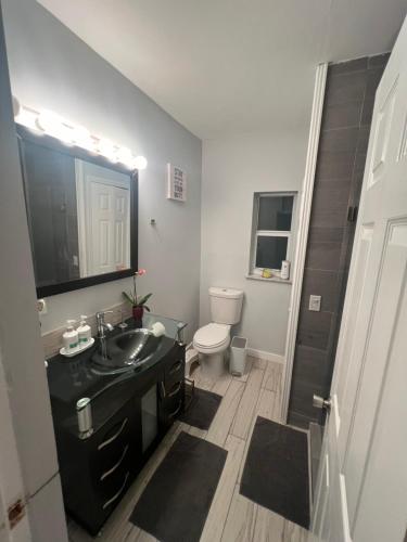 La salle de bains est pourvue d'un lavabo et de toilettes. dans l'établissement Cozy room in a quiet home, à Miami