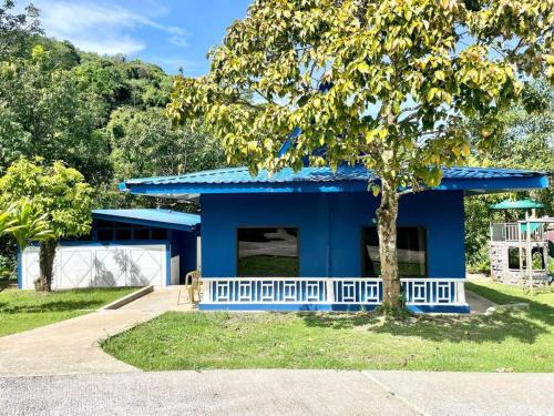 a blue building with a tree in front of it at Ngermid Oasis Blue House in Ngermid