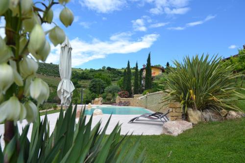 una piscina in un giardino con emozionante di Corte Tamellini a Soave