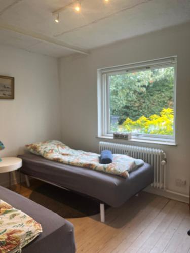 ein Wohnzimmer mit einem Sofa und einem Fenster in der Unterkunft nordic and retro apartment North of Cph 