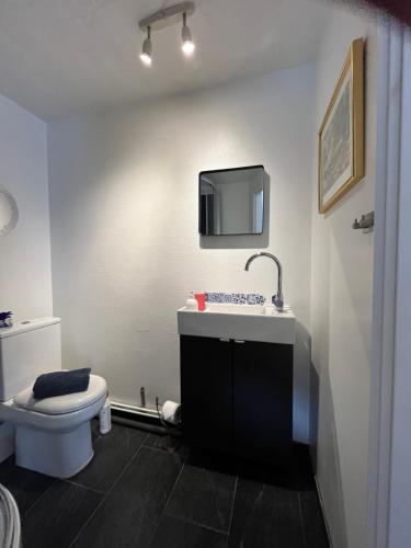 a bathroom with a toilet and a sink and a mirror at nordic and retro apartment North of Cph 