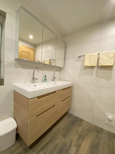 a bathroom with a sink and a toilet and a mirror at Budamerhof in Virgen