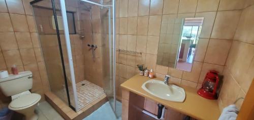 a bathroom with a shower and a toilet and a sink at Aspen Villa Misty Mountain Studio in Underberg