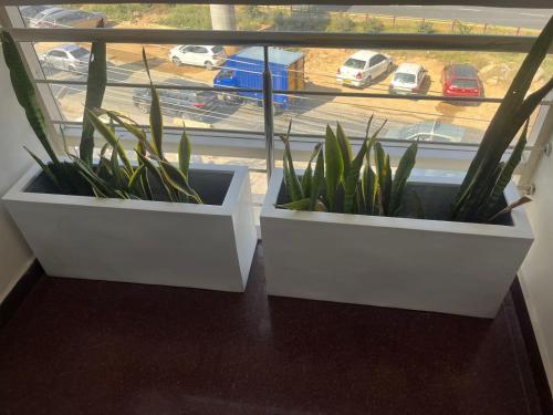two plants in pots sitting on a window sill at Hotel Avenue Suites Near International Airport Bangalore in Bengaluru