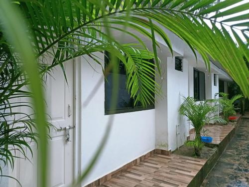 a white house with palm trees in front of it at Royal Touch Beach Huts in Palolem