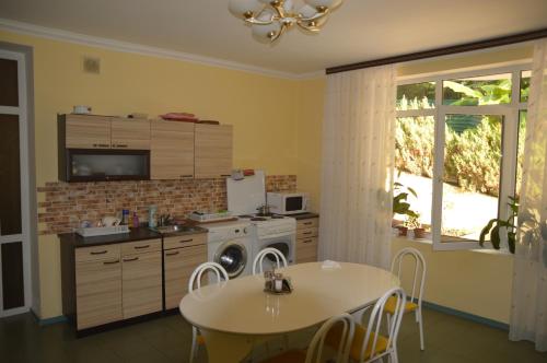 a kitchen with a table and a stove and a dishwasher at Guesthouse Tatyiana in Sochi