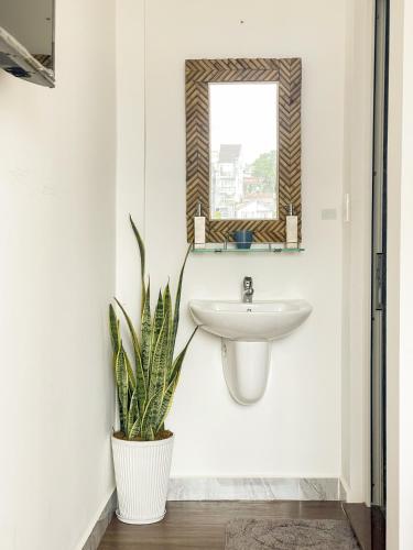 a bathroom with a sink and a mirror and a plant at Nai Homestay 2 in Da Thanh