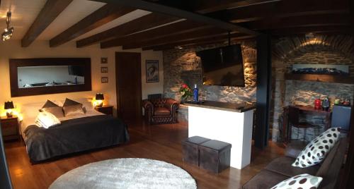 1 dormitorio con 1 cama y TV en la pared en Mas Farner - Adults Only en Llivia