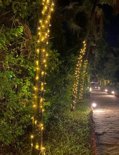 a row of lights on the side of a road at Indiana Beach Apartments in Bamburi