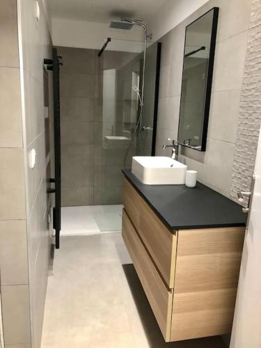 une salle de bain avec un lavabo et une douche dans l'établissement Logement de plain-pied avec jardin, terrasse, à Gurgy