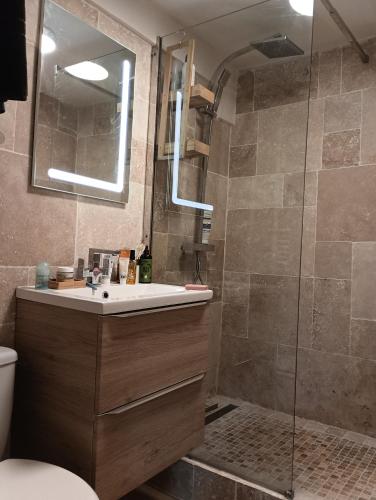 une salle de bain avec un lavabo et une douche dans l'établissement Appartement Cosy Plein Centre Ville, à Meulan-en-Yvelines