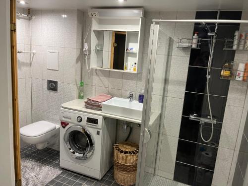 a bathroom with a washing machine and a sink at Saunaga korter Tapa kesklinnas! in Tapa