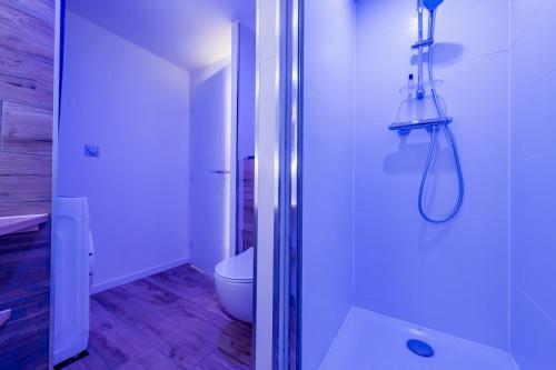 La salle de bains blanche est pourvue d'une douche et de toilettes. dans l'établissement Ô Repos des Artistes - Classified apartments***, à Toulon