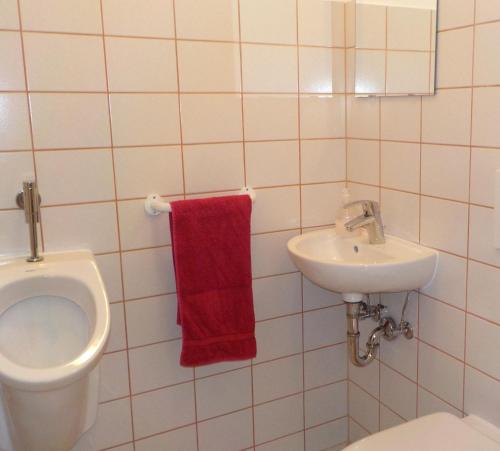 ルンにあるApartman Sabineのトイレの洗面台と赤いタオルのあるバスルーム