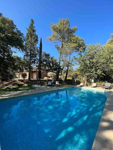 une grande piscine bleue avec des arbres en arrière-plan dans l'établissement Villa au cœur du massif des Maures, à La Garde-Freinet