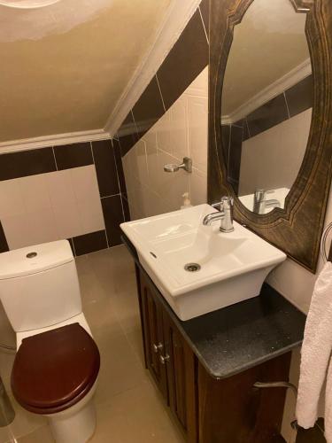 a bathroom with a toilet and a sink and a mirror at The Manor in Lomé