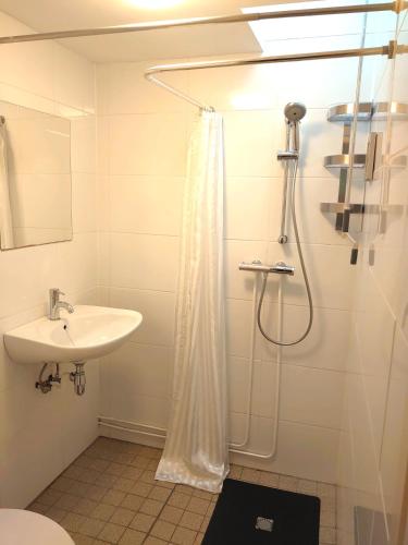 Ένα μπάνιο στο Zonnige vrijstaande bungalow in prachtige omgeving!
