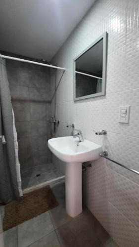 a bathroom with a sink and a shower at Rio Apart Michelangelo in Río Cuarto