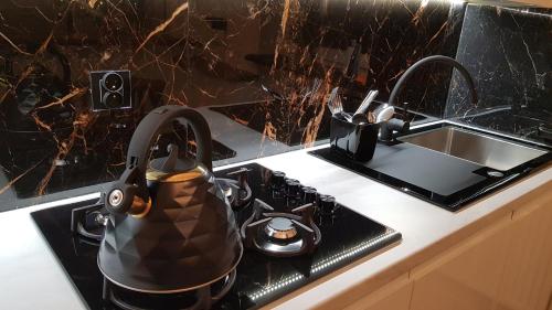 ウニエユフにあるApartament u Anielkiの- キッチンコンロ、お茶セット