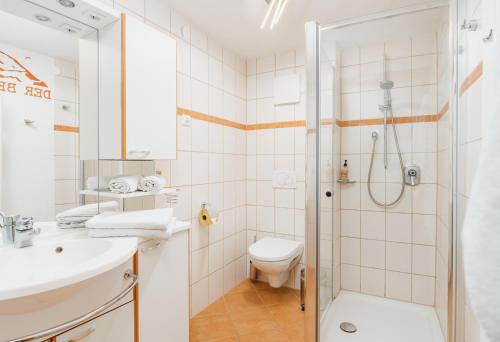 a bathroom with a shower and a toilet and a sink at Hörandlhof in Aigen im Ennstal