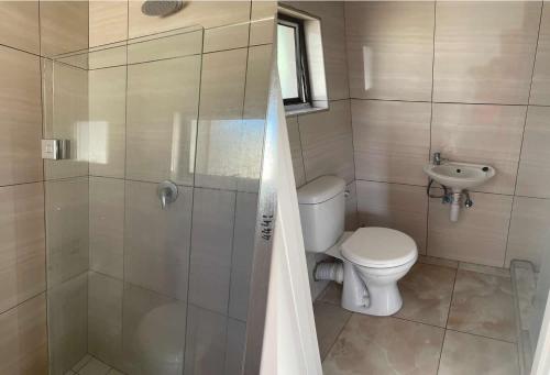 a bathroom with a shower and a toilet and a sink at De la posh Travels and tours in Windhoek