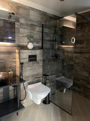 a bathroom with a toilet and a glass shower at Valea Mosului - Cozy A Frame in Petroşani