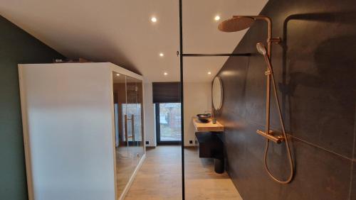 uma casa de banho com um chuveiro e uma porta de vidro em O Beau Cerf em Sart-lez-Spa