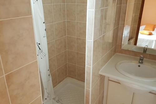 a bathroom with a shower and a sink at Les charmes en périgord noir proche de Sarlat in Paulin